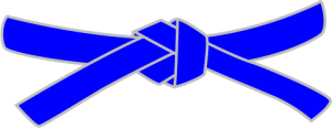 Blue Belt